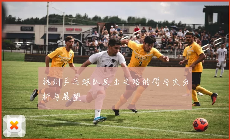 杭州乒乓球队反击之路的得与失分析与展望
