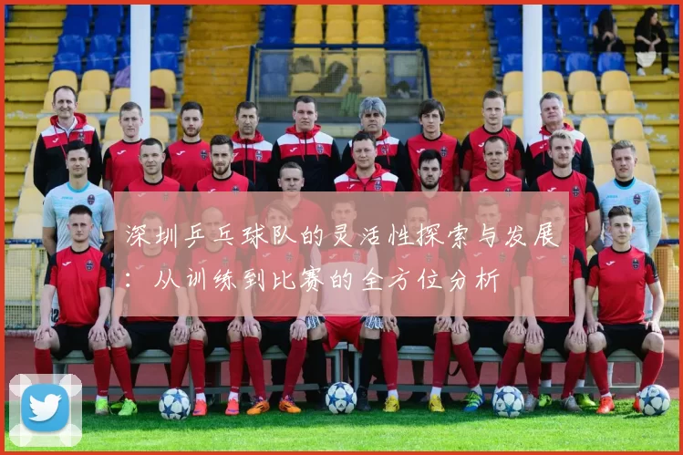 深圳乒乓球队的灵活性探索与发展：从训练到比赛的全方位分析