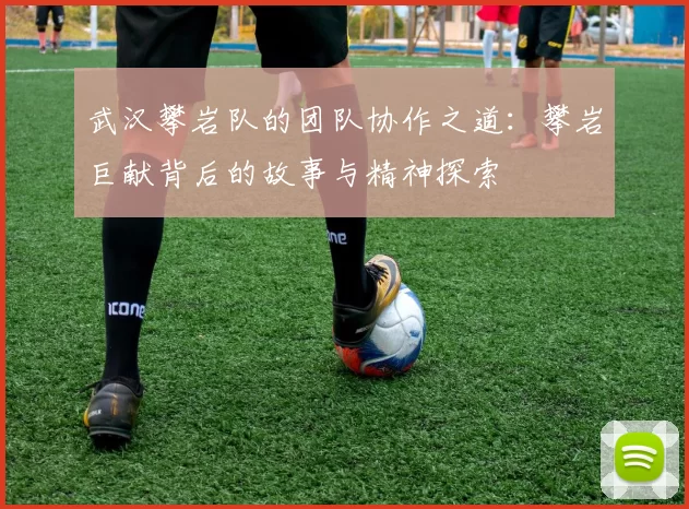 武汉攀岩队的团队协作之道：攀岩巨献背后的故事与精神探索