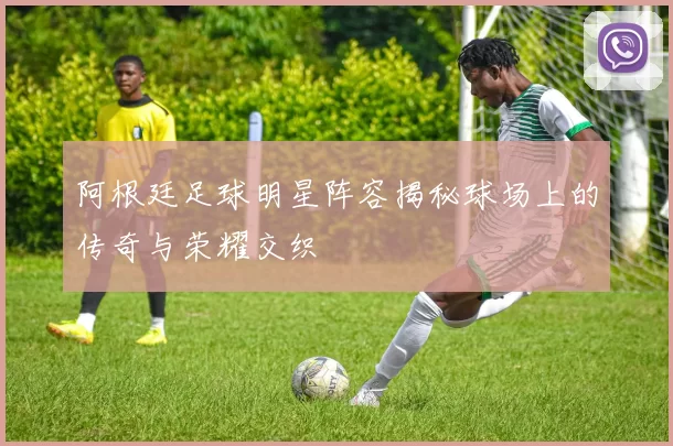 阿根廷足球明星阵容揭秘球场上的传奇与荣耀交织