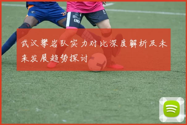 武汉攀岩队实力对比深度解析及未来发展趋势探讨