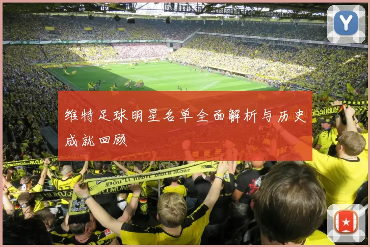 维特足球明星名单全面解析与历史成就回顾