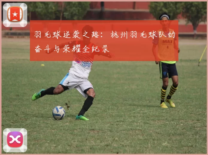 羽毛球逆袭之路：杭州羽毛球队的奋斗与荣耀全纪录