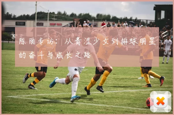 陈丽专访：从青涩少女到排球明星的奋斗与成长之路