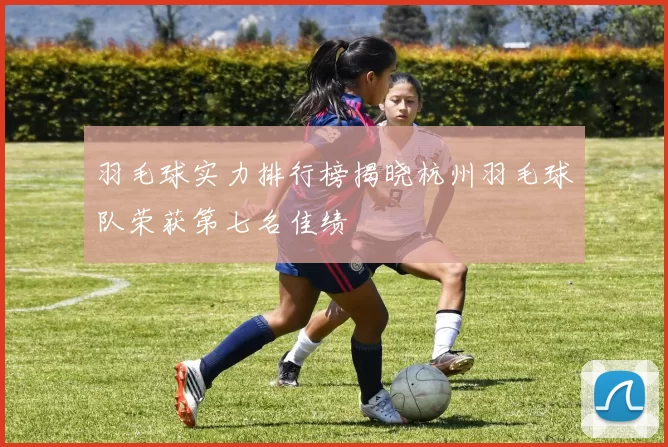 羽毛球实力排行榜揭晓杭州羽毛球队荣获第七名佳绩