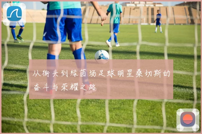 从街头到绿茵场足球明星桑切斯的奋斗与荣耀之路