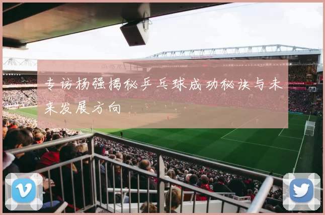 专访杨强揭秘乒乓球成功秘诀与未来发展方向