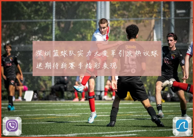 深圳篮球队实力大变革引发热议球迷期待新赛季精彩表现