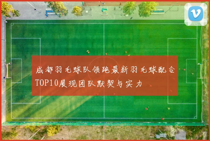 成都羽毛球队领跑最新羽毛球配合TOP10展现团队默契与实力