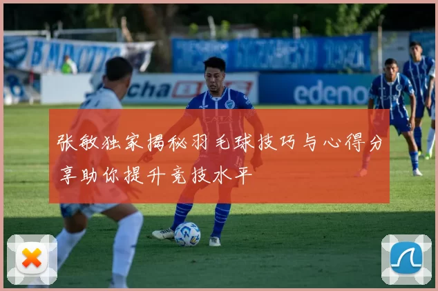 张敏独家揭秘羽毛球技巧与心得分享助你提升竞技水平