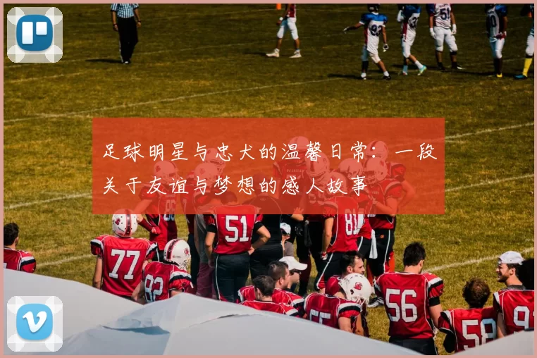 足球明星与忠犬的温馨日常：一段关于友谊与梦想的感人故事