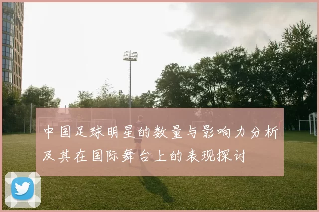 中国足球明星的数量与影响力分析及其在国际舞台上的表现探讨