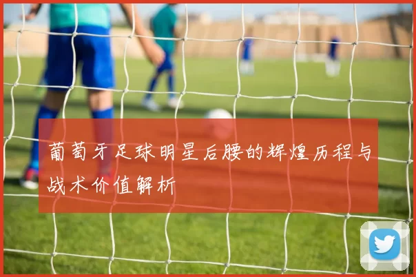 葡萄牙足球明星后腰的辉煌历程与战术价值解析