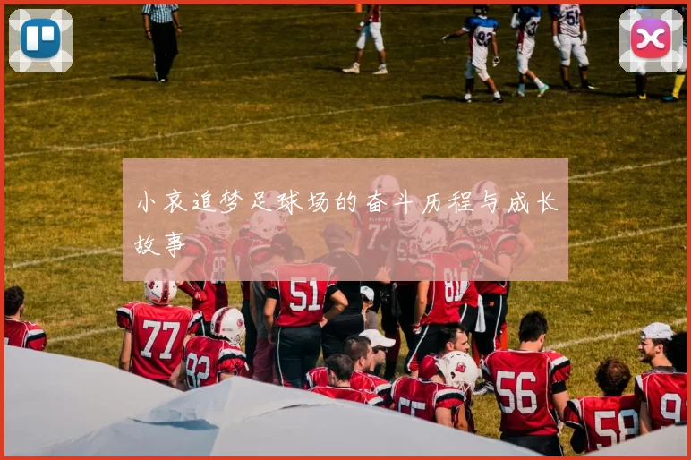 小哀追梦足球场的奋斗历程与成长故事